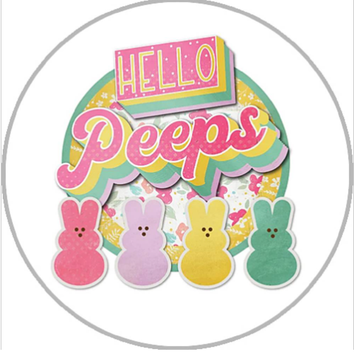 20 MM Hello Peeps Glass Snap