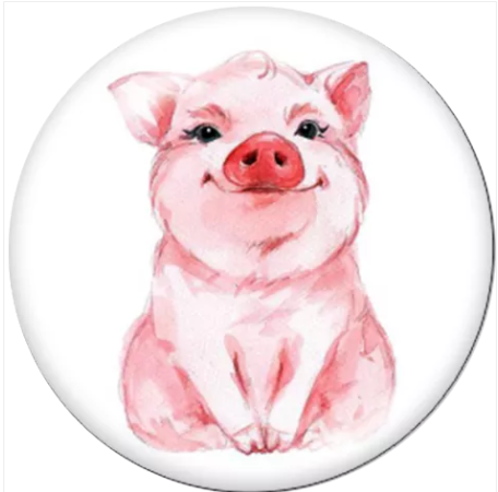 20 MM Smiling Pig Glass