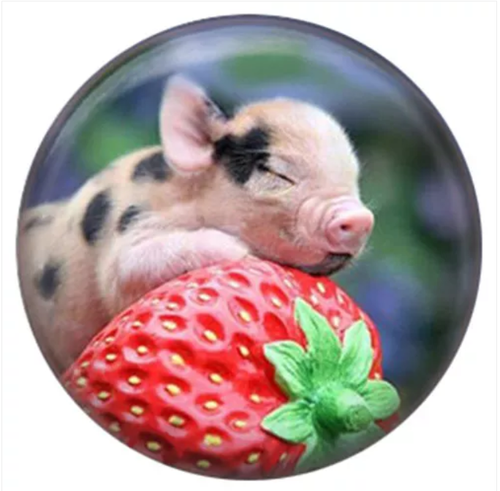 20 MM Baby Pig on Strawberry Snap Enamel