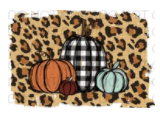 Leopard Background Pumpkins 10 Inches